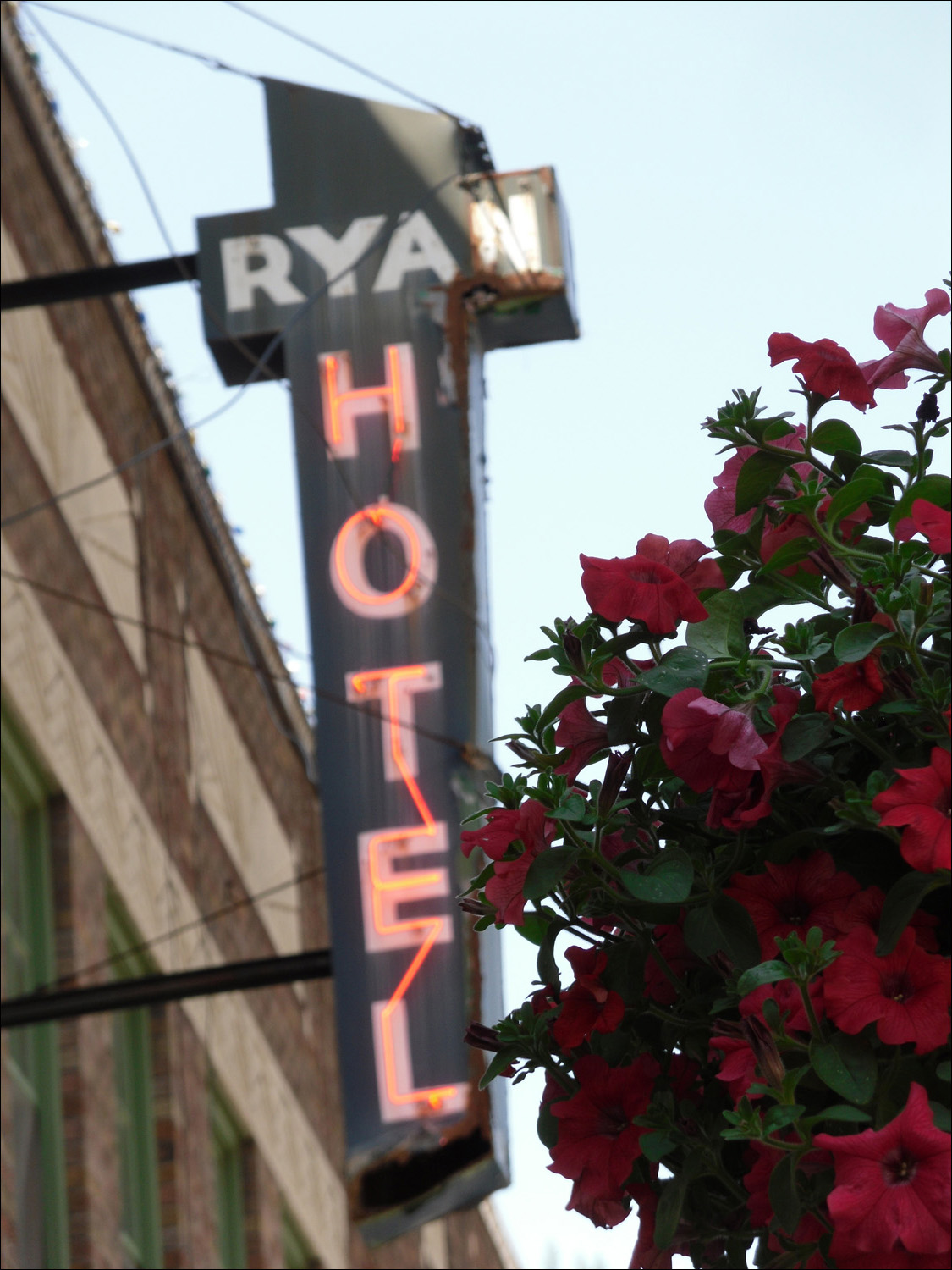 Wallace ID-  Where we were supposed to stay.  Sad-looking sign, nice flowers.